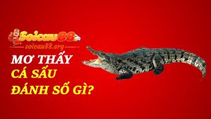 Mơ thấy cá sấu đánh số gì để không bị cắn... mà cắn trúng lộc?