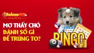 Mơ thấy chó đánh số gì để trúng to mà không cần “sủa” một tiếng nào?