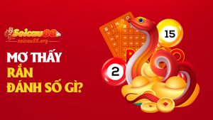 Mơ thấy rắn đánh số gì để lột xác vận đen và trườn thẳng vào lộc?